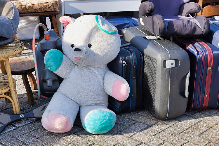 Rommelmarkt 2022 Waarder_016